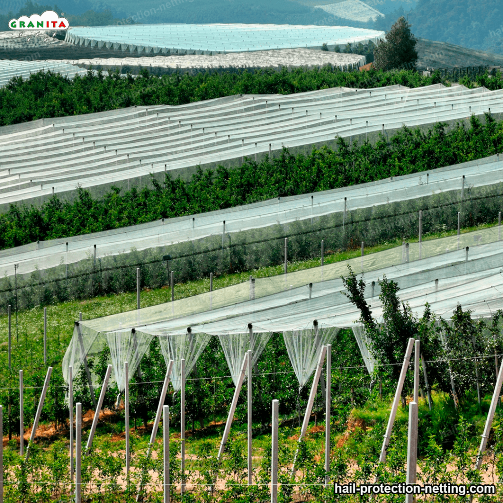 hail protection mesh in a field